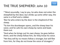THE TRUE SHEPHERD: