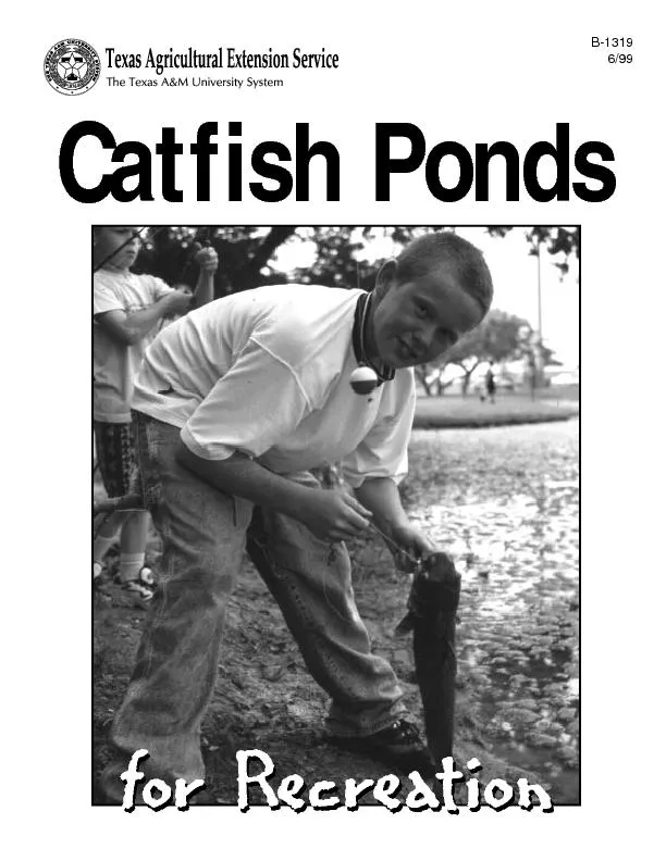 Catfish Pondsfor Recreationfor Recreation