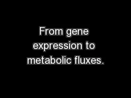 From gene expression to metabolic fluxes.