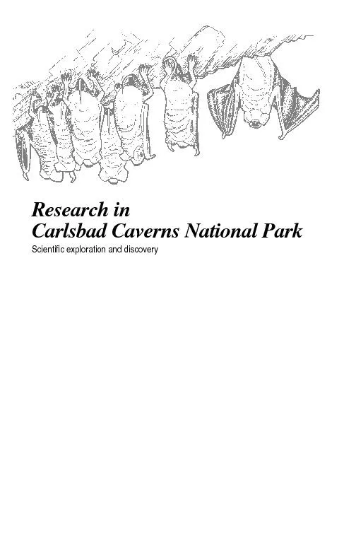 Research inCarlsbad Caverns National ParkScientific exploration and di