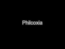 Philcoxia