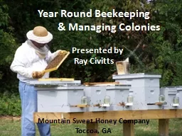 Year Round Beekeeping