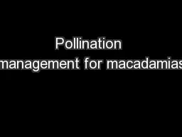 Pollination management for macadamias