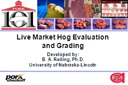Live Market Hog Evaluation
