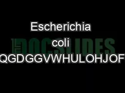 Escherichia coli SXUHFXOWXUHLQEURWKZLWKWKHDSSURSULDWHDQWLELRWLFUDQVIHURIFXOWXUHLQWRDSROSURSOHQHWXEHDQGDGGVWHULOHJOFHUROWRPDNHDQ LVSHQVHaRIVWHULOHPHGLXPLQWRZHOOPLFURWLWHUSODWHVKHVKRXOGEHVXSSOHPHQWHGZL