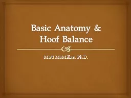 Basic Anatomy &