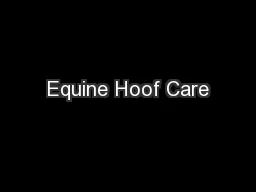Equine Hoof Care