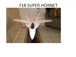F18 SUPER HORNET