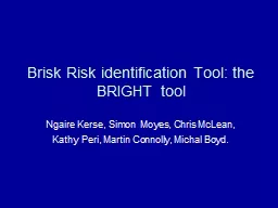 Brisk Risk identification Tool: the BRIGHT tool