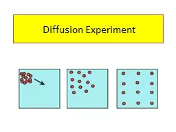 Diffusion Experiment