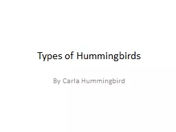 Types of Hummingbirds