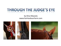 Through the Judge’s Eye