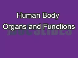 Human Body Organs and Functions