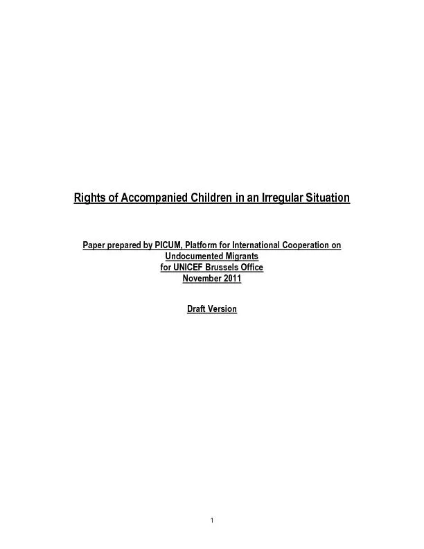 Rights of Accompanied Children in an Irregular Situation