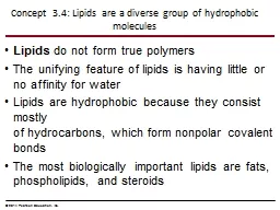 Concept 3.4: Lipids are a diverse group of hydrophobic mole