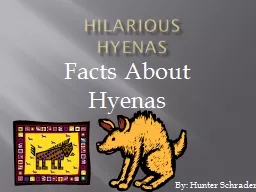 hilarious           hyenas