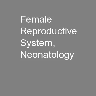 Female Reproductive System, Neonatology