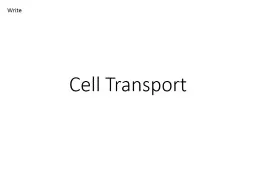 Cell Transport