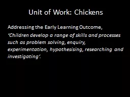Unit of Work: Chickens