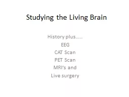 Studying the Living Brain