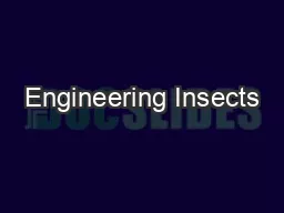 Engineering Insects