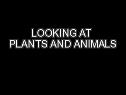 LOOKING AT PLANTS AND ANIMALS