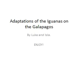 Adaptations of the Iguanas on the Galapagos