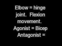 Elbow = hinge joint.  Flexion movement.  Agonist = Bicep Antagonist =