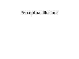 Perceptual Illusions