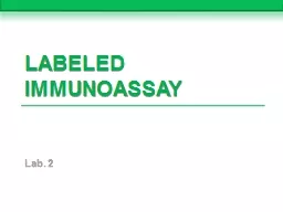 Labeled Immunoassay