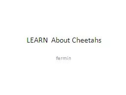 LEARN  About Cheetahs