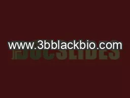 www.3bblackbio.com
