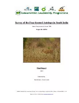 Survey of the Four-horned Antelope in South India