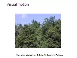Visual motion