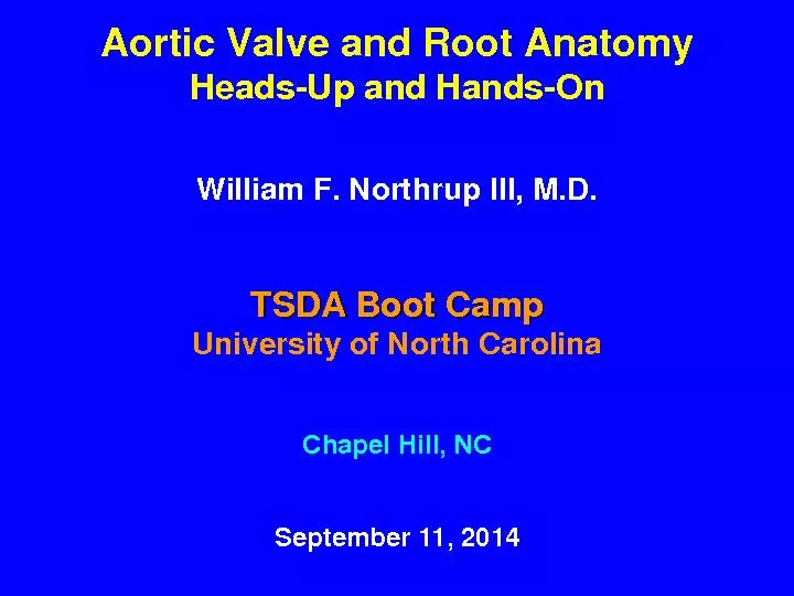 Aortic Valve and Root Anatomy
