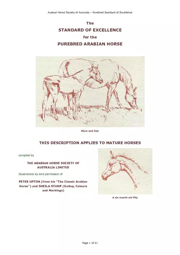 PDF- ! 	! \n		\r	" 	\n thumbnail
