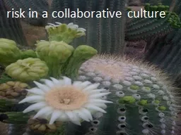 risk in a collaborative culture