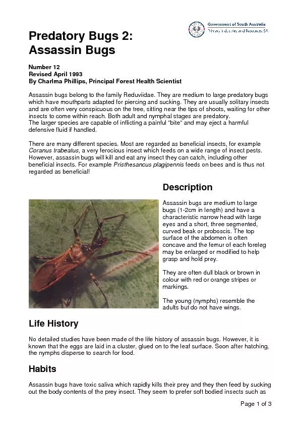 Predatory Bugs 2: Assassin Bugs Number 12  Revised April 1993 By Charl