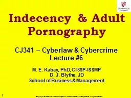 Indecency & Adult Pornography