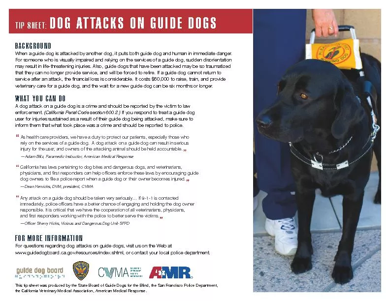 When a guide dog is attacked by another dog, it puts both guide dog an