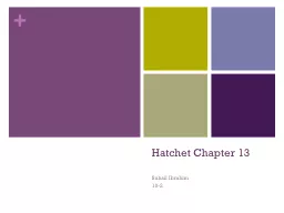 Hatchet Chapter 13