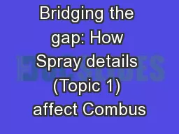 Bridging the gap: How Spray details (Topic 1) affect Combus