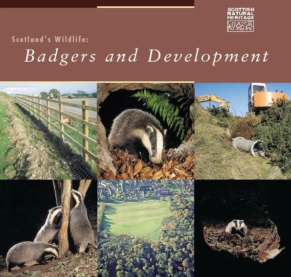 
&	