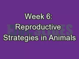 Week 6: Reproductive Strategies in Animals