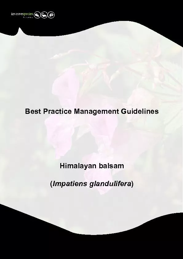 Best Practice Management Guidelines