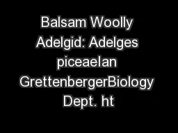 Balsam Woolly Adelgid: Adelges piceaeIan GrettenbergerBiology Dept. ht
