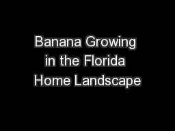 Banana Growing in the Florida Home Landscape