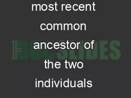 Instructions  Identify the most recent common ancestor of the two individuals with the