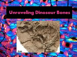 Unraveling Dinosaur Bones