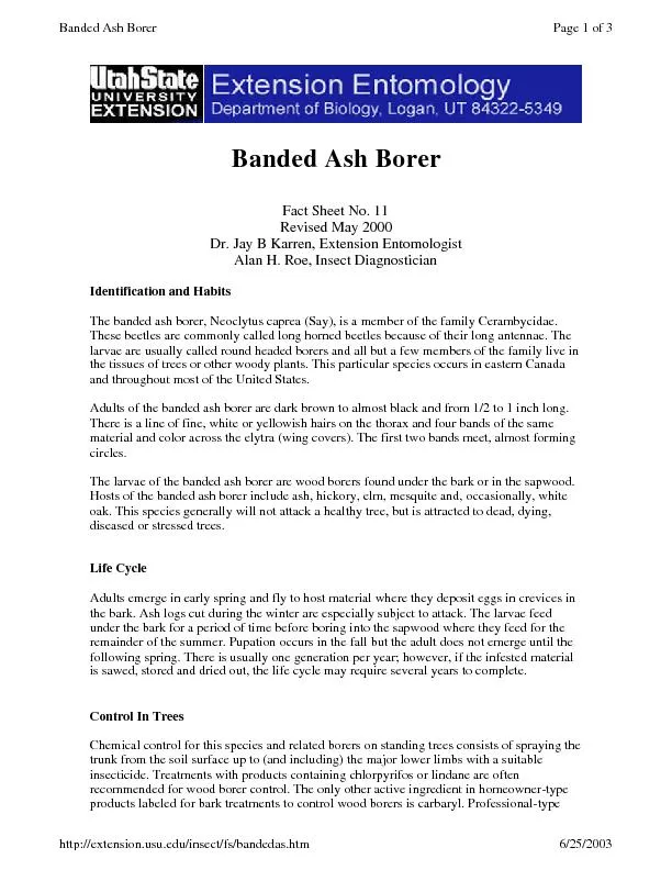 Banded Ash Borer  Fact Sheet No. 11 Revised May 2000 Dr. Jay B Karren,